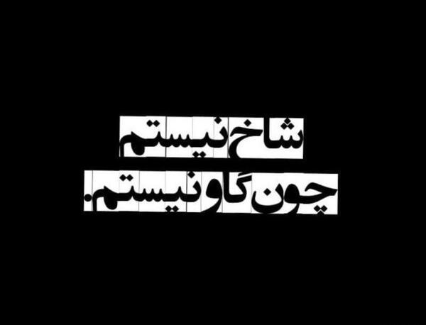 عکس نوشته من شاخ نیستم