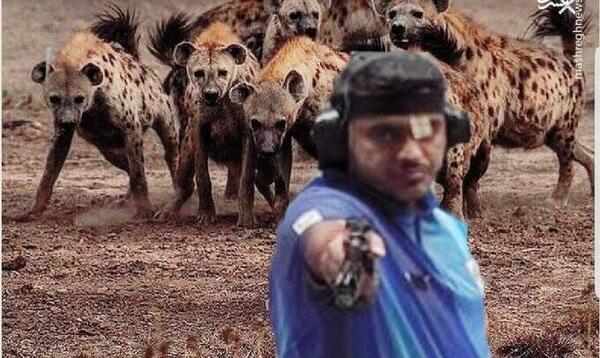 عکس شغال