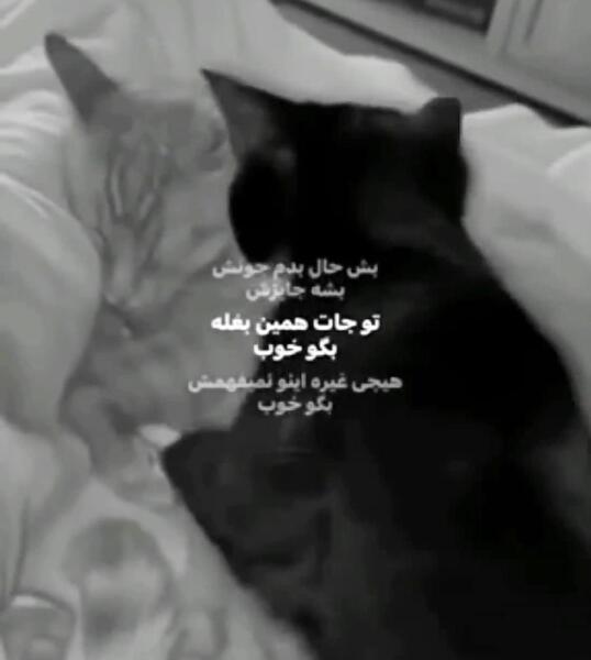 عکس تو جات همین بغله بگو خب