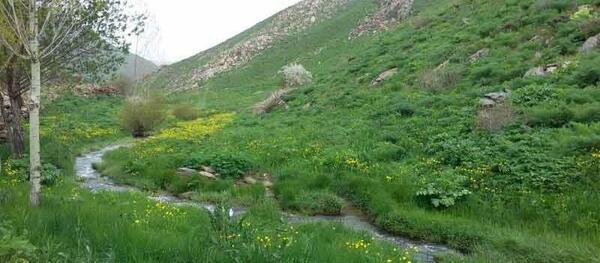 عکس سیزده بدر رفیق