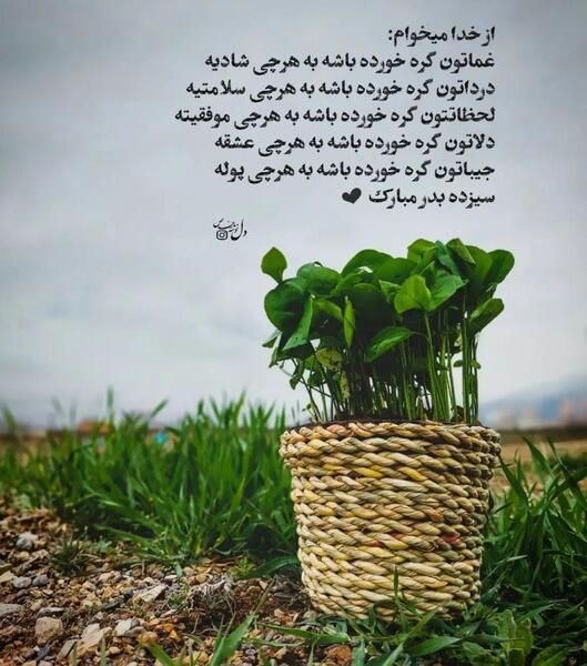 عکس سیزده بدر رفیق