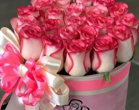 عکس برای پروفایل واتساپ عکس گل