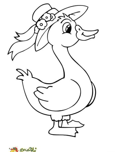 عکس نقاشی اردک