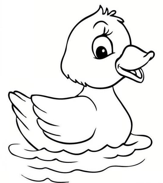 عکس نقاشی اردک