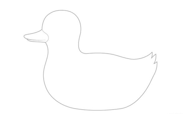 عکس نقاشی اردک