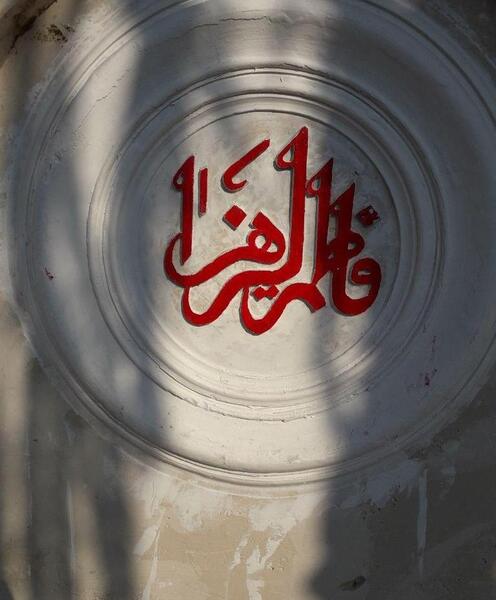 عکس گیاه یاس زرد