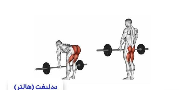 عکس ورزش ساق پا