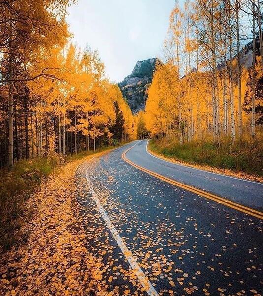 عکس پروفایل آبان ماهی جدید دخترانه