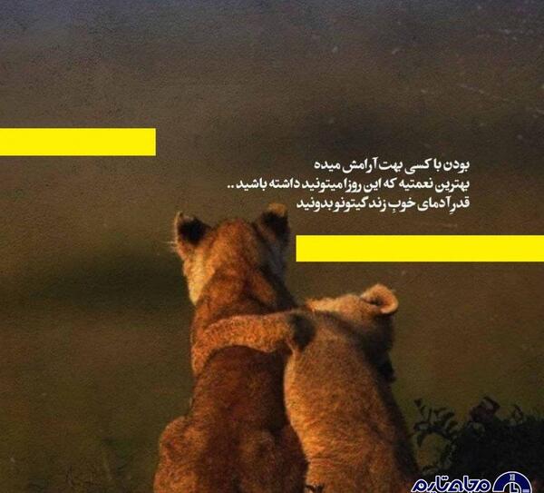 عکس عاشقانه کردی