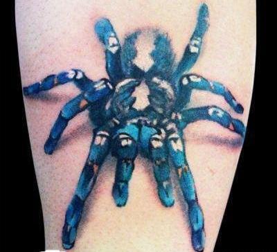عکس طرح تاتو دخترانه عنکبوت