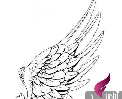 عکس طرح تاتو بال عقاب