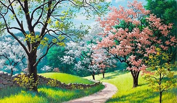 عکس نقاشی های ساده و زیبا با رنگ روغن
