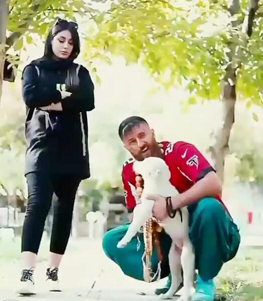 عکس خنده دار حامد تبریزی