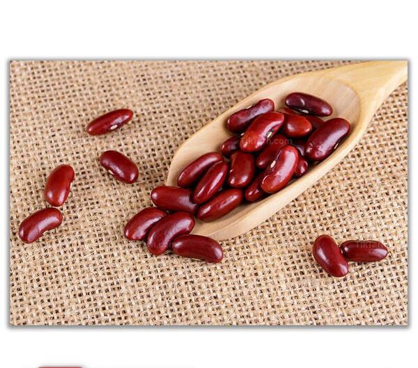 عکس لوبیا قرمز