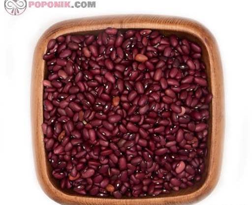 عکس لوبیا قرمز