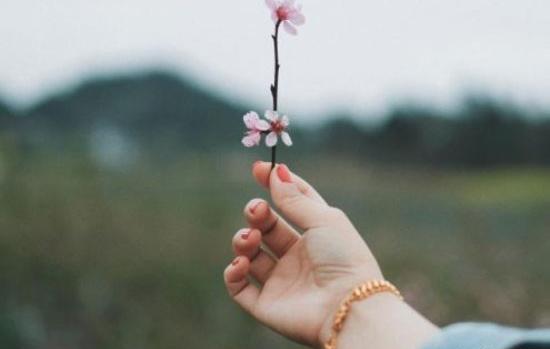 عکس پروفایل دخترانه زیبا گل