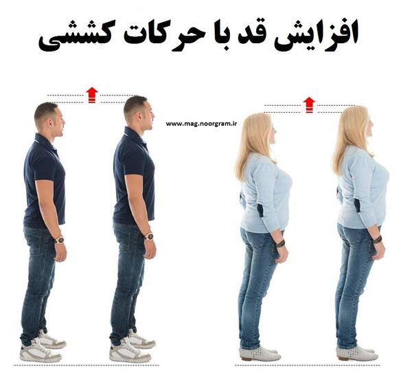 عکس ورزش برای افزایش قد
