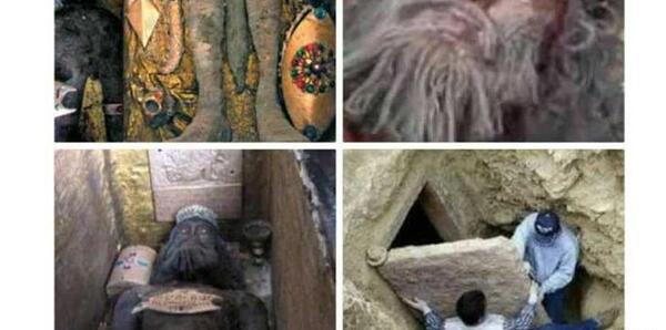 عکس واقعی داریوش هخامنشی