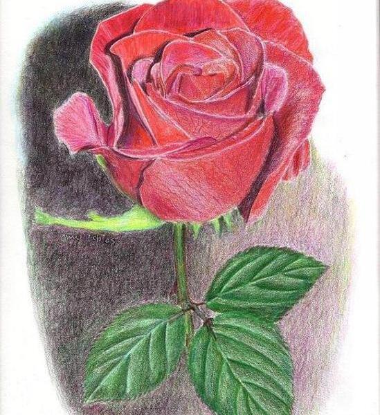 عکس نقاشی گل خیلی سخت