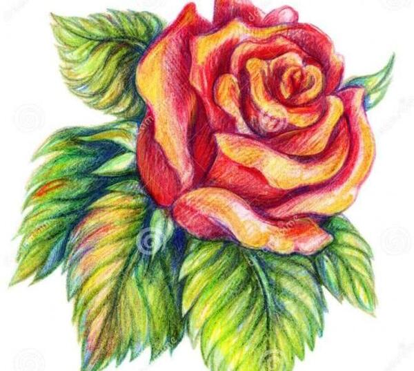 عکس نقاشی گل خیلی سخت