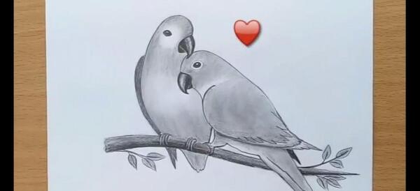عکس نقاشی زیبا طوطی