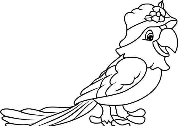 عکس نقاشی زیبا طوطی