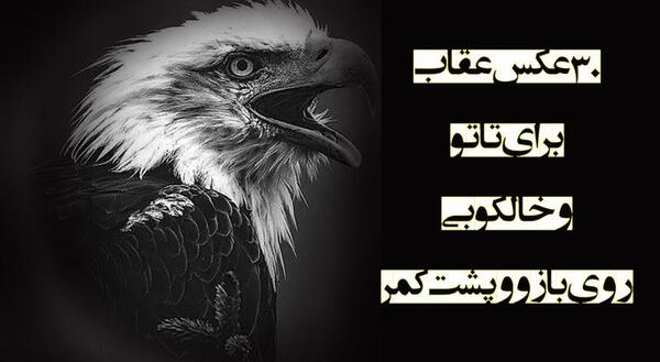 عکس تاتو عقاب روی دست