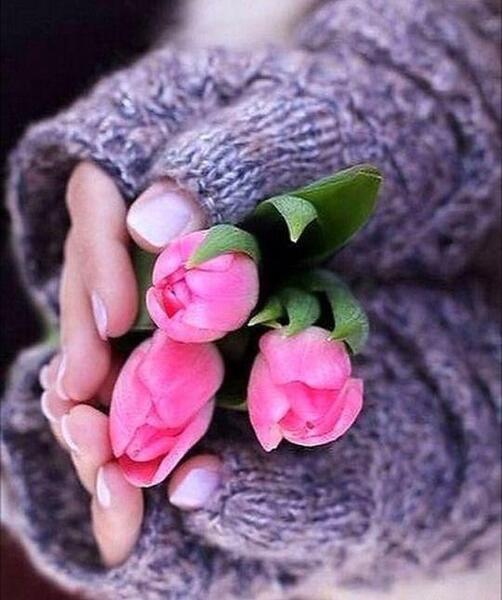 عکس برای پروفایل دخترونه خوشگل
