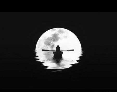 عکس سیاه ها