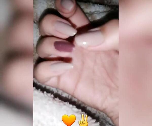 عکس دایناسور ناخن دراز
