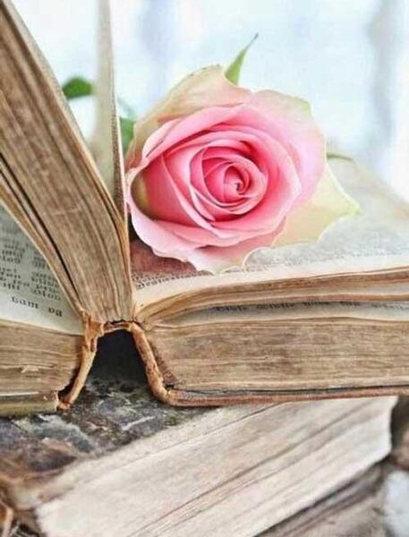 عکس برای پروفایل درسی