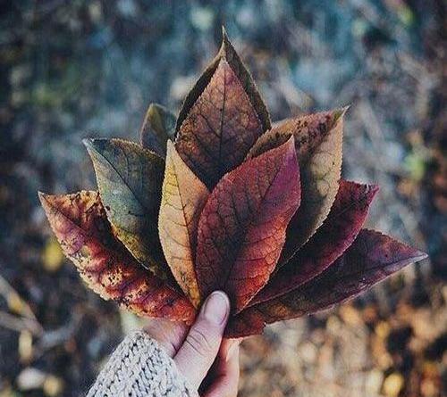 عکس پروفایل دخترونه جدید تلگرام
