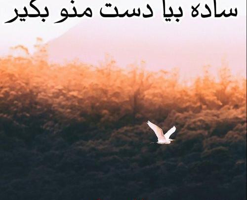 عکس تاتو دست رضا صادقی