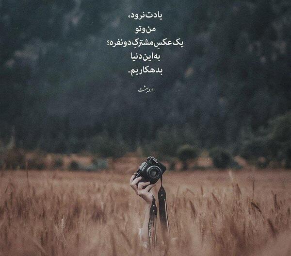 عکس نوشته سبز ماندن در میان ویرانی ریشه می خواهد