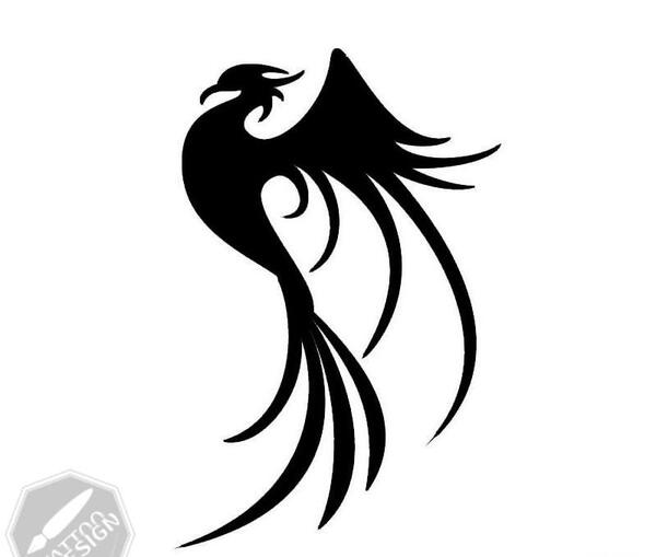 عکس طرح تاتو اژدها ساده