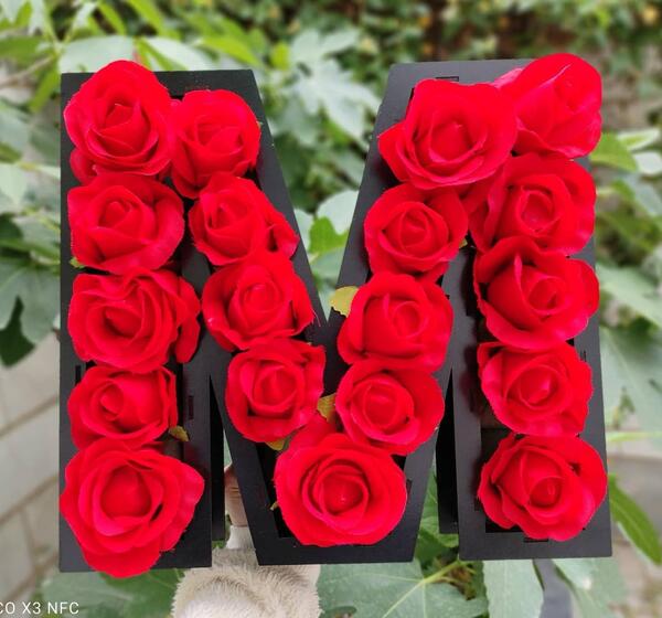 عکس گل رز با حروف انگلیسی