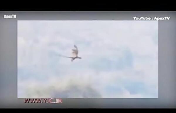 عکس واقعی ققنوس