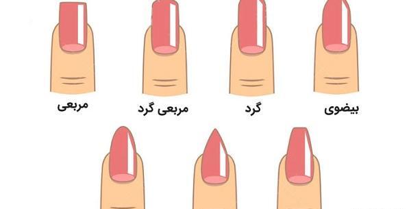عکس مدل ناخن هلالی