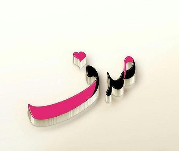 لوگو عکس صدف