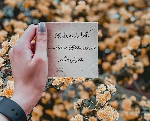 دانلود عکس برای پروفایل لاکچری