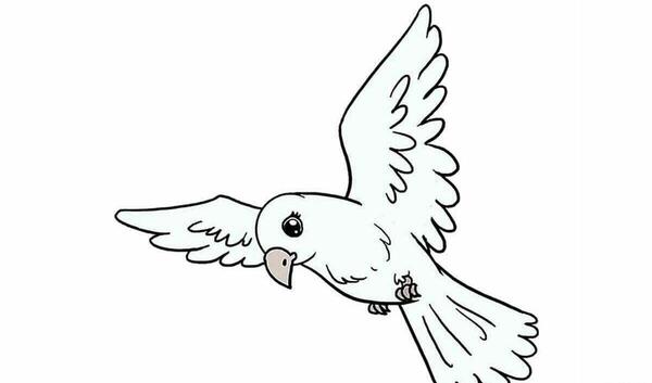 عکس نقاشی سیاه قلم ساده کودکانه