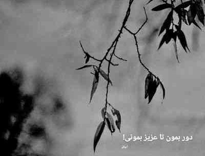 عکس تو ضربان قلب من شدی