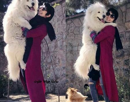 عکس سگ پشمالو و زیبا