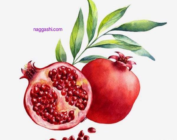 عکس نقاشی انار