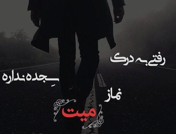 عکس تتودست پوتک