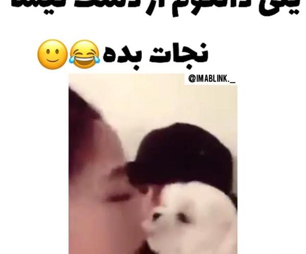 عکس سگ جنی