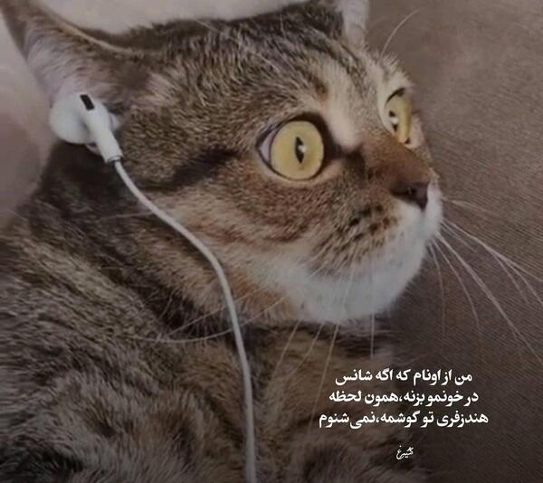 عکس های عاشقانه گوگولی