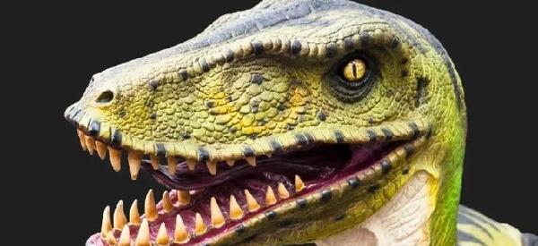 عکس دایناسور پرنده ها