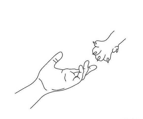 عکس طرح تتو مینیمال خام