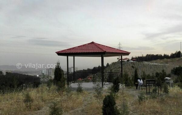 عکس یاس فاطمی